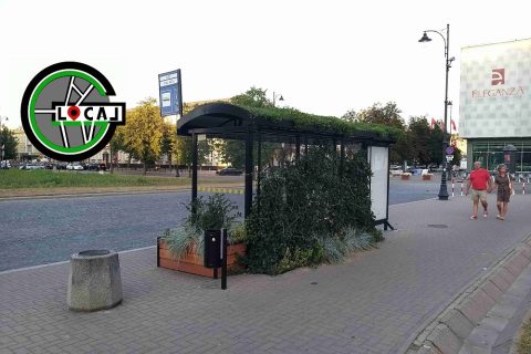 GREENBUS